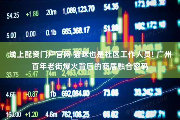 线上配资门户官网 猫咪也是社区工作人员! 广州百年老街爆火背后的商居融合密码
