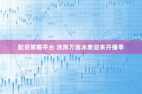 配资策略平台 洮南万亩冰麦迎来开播季