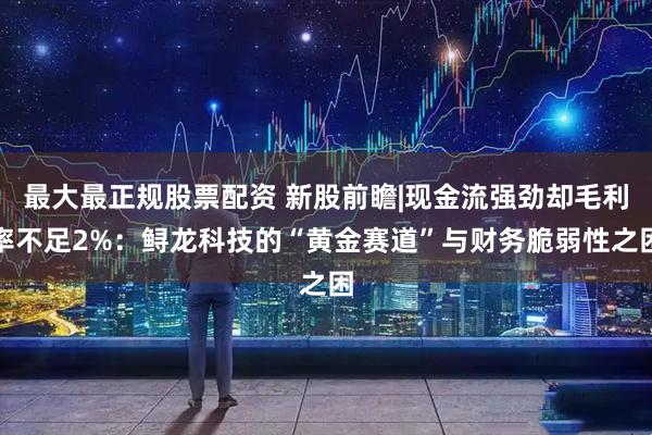 最大最正规股票配资 新股前瞻|现金流强劲却毛利率不足2%：鲟龙科技的“黄金赛道”与财务脆弱性之困